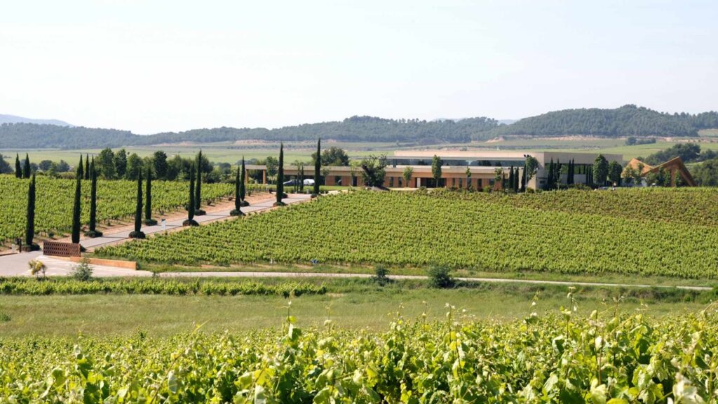 Vilarnau winery 
