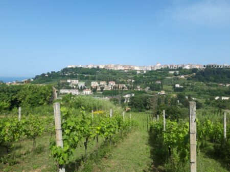 cantina Lucà Dazio