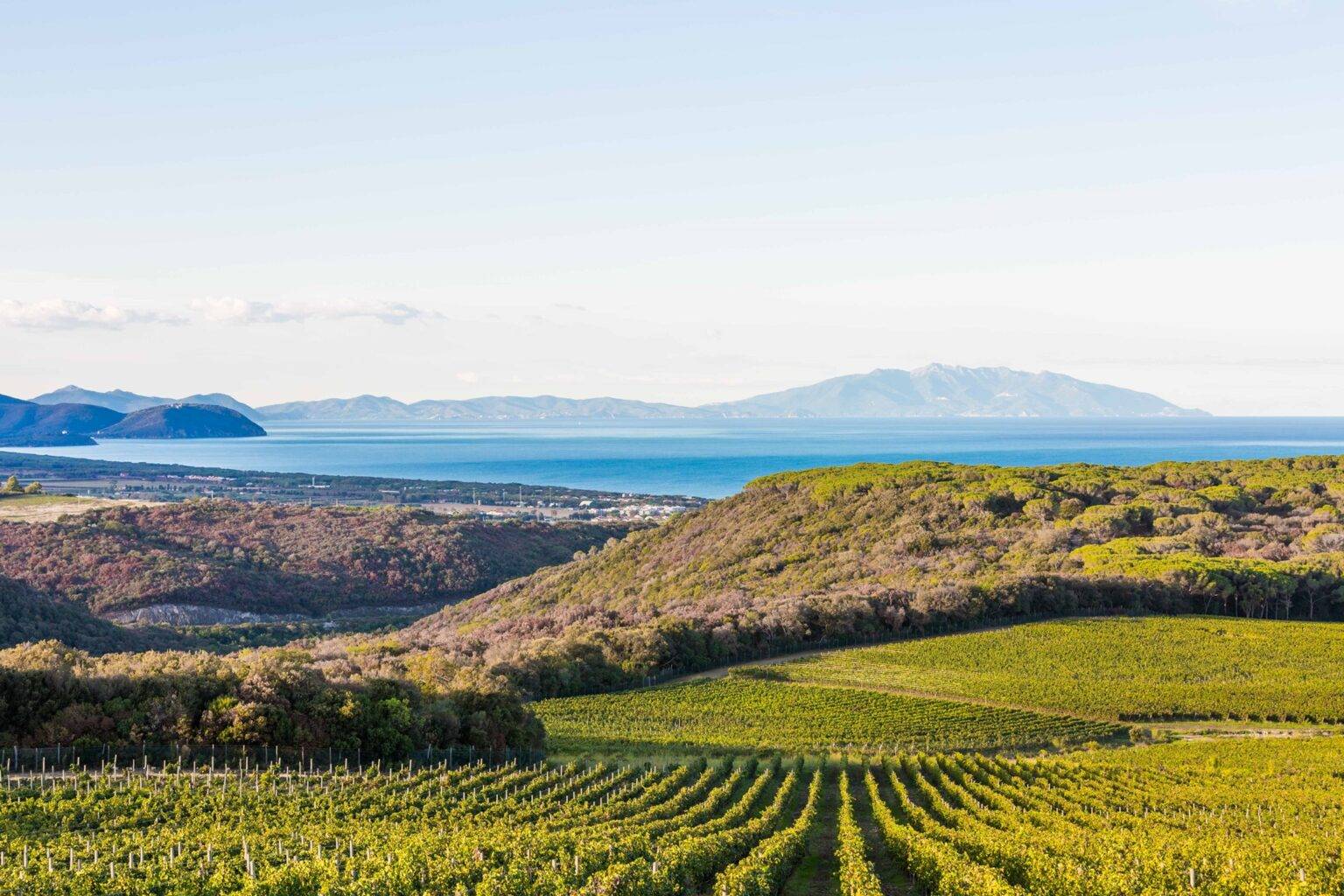 Tenuta Bolgheri, Toscana