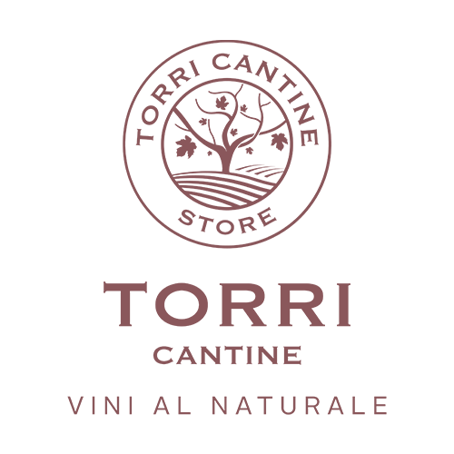 logo _torri_store