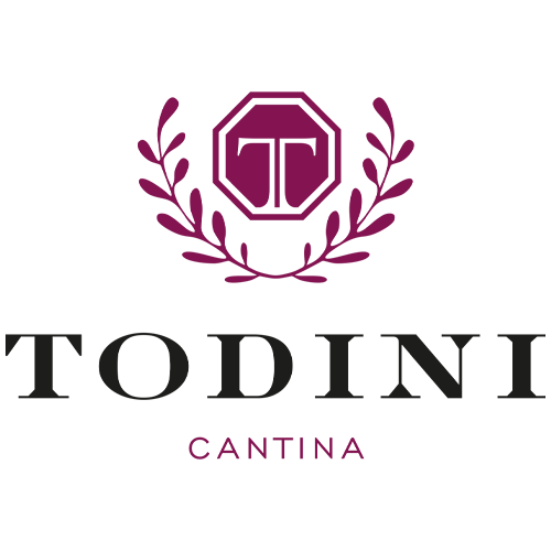 todini