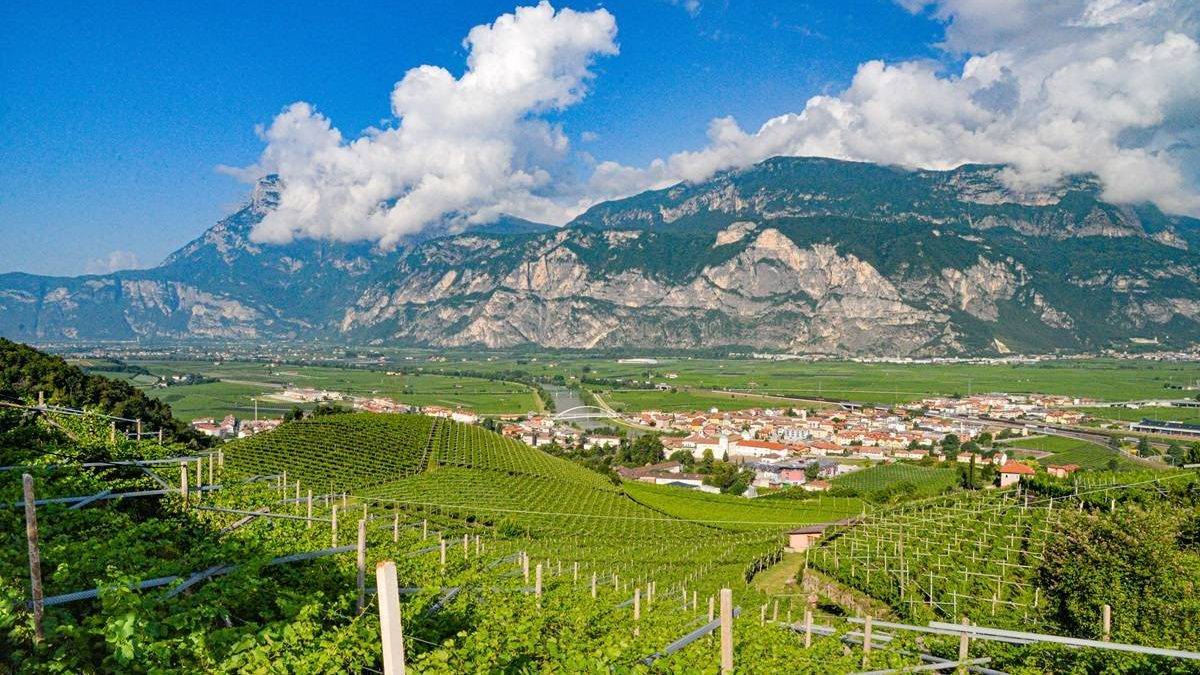 Il Pinot Grigio DOC Delle Venezie protagonista al Taste of London 2025