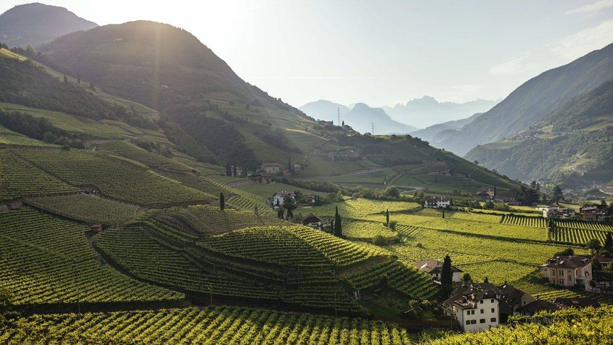 Enoturismo in Alto Adige
