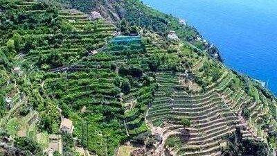 terrazzamenti costiera amalfitana